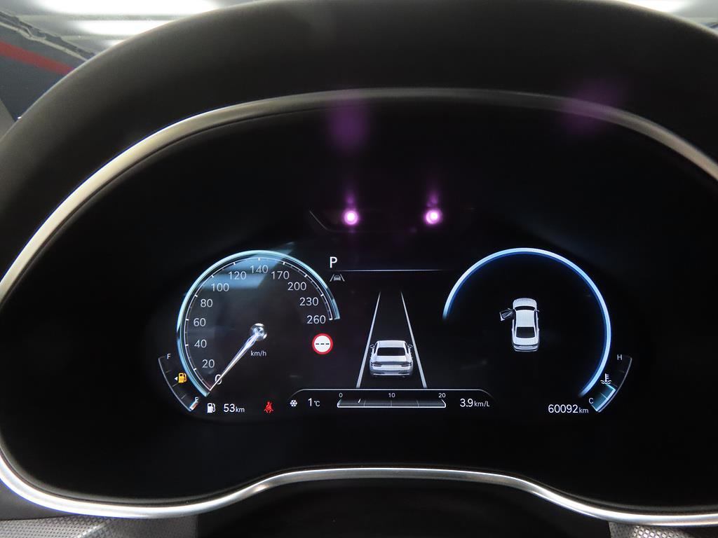 Genesis G80 - Vista 9