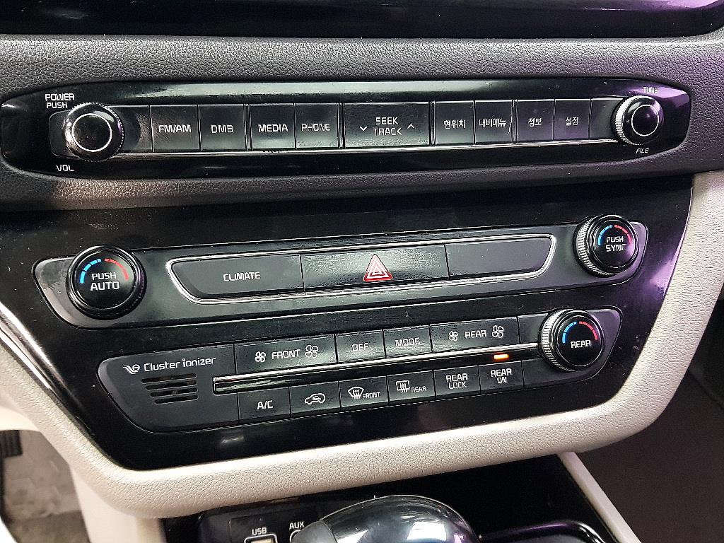 KIA Carnival - Vista 11