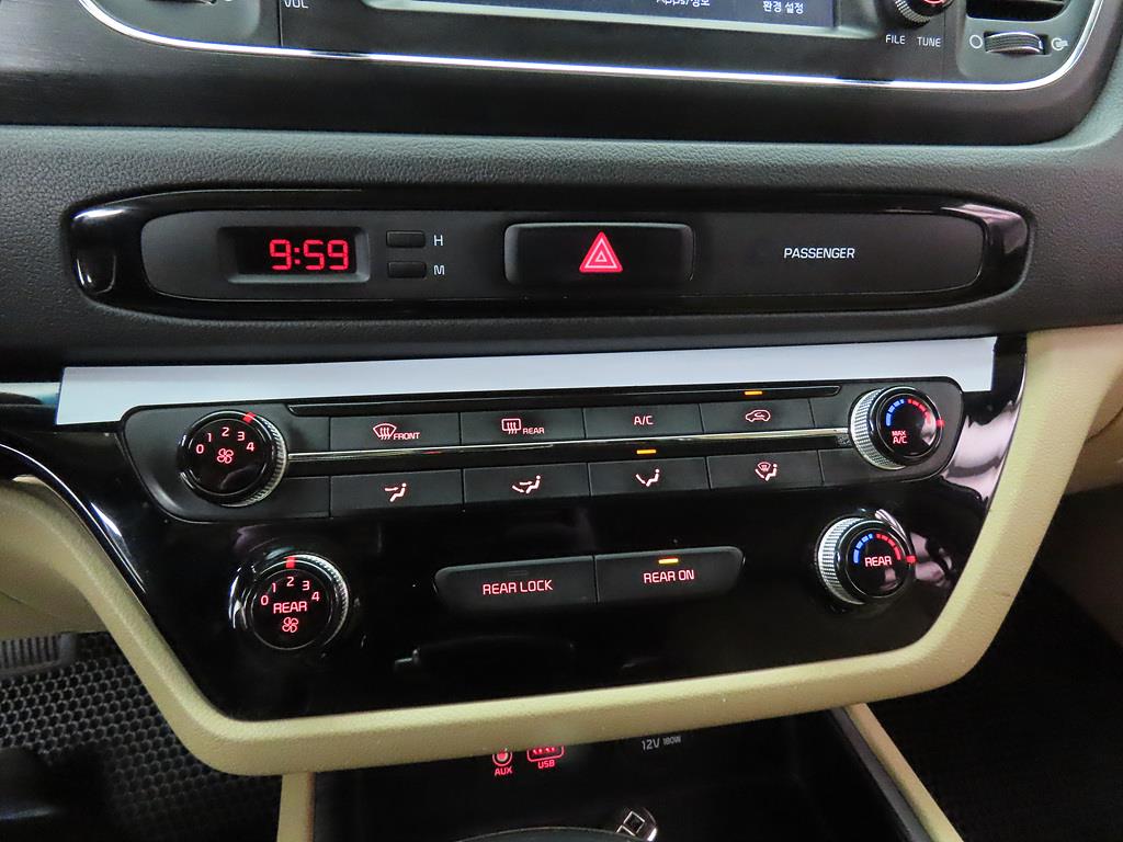 KIA Carnival - Vista 12