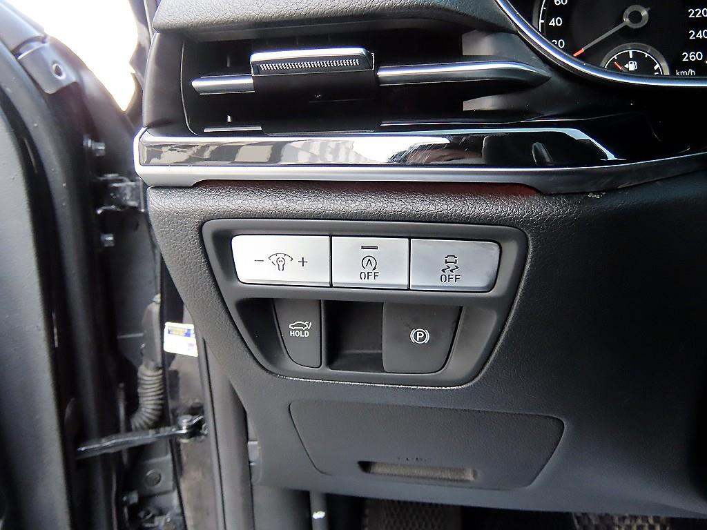 Genesis G80 - Vista 12