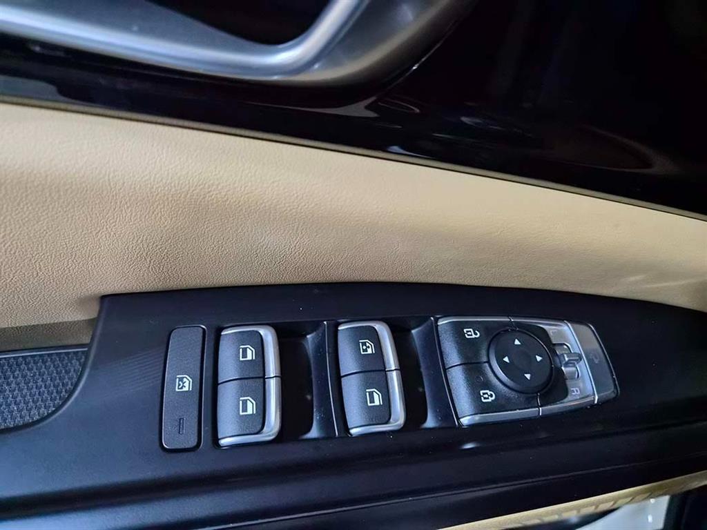 KIA Carnival - Vista 12