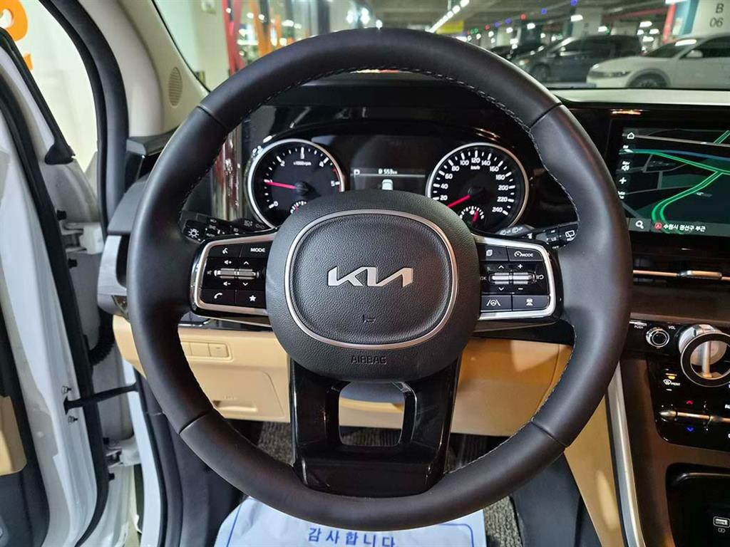 KIA Carnival - Vista 10