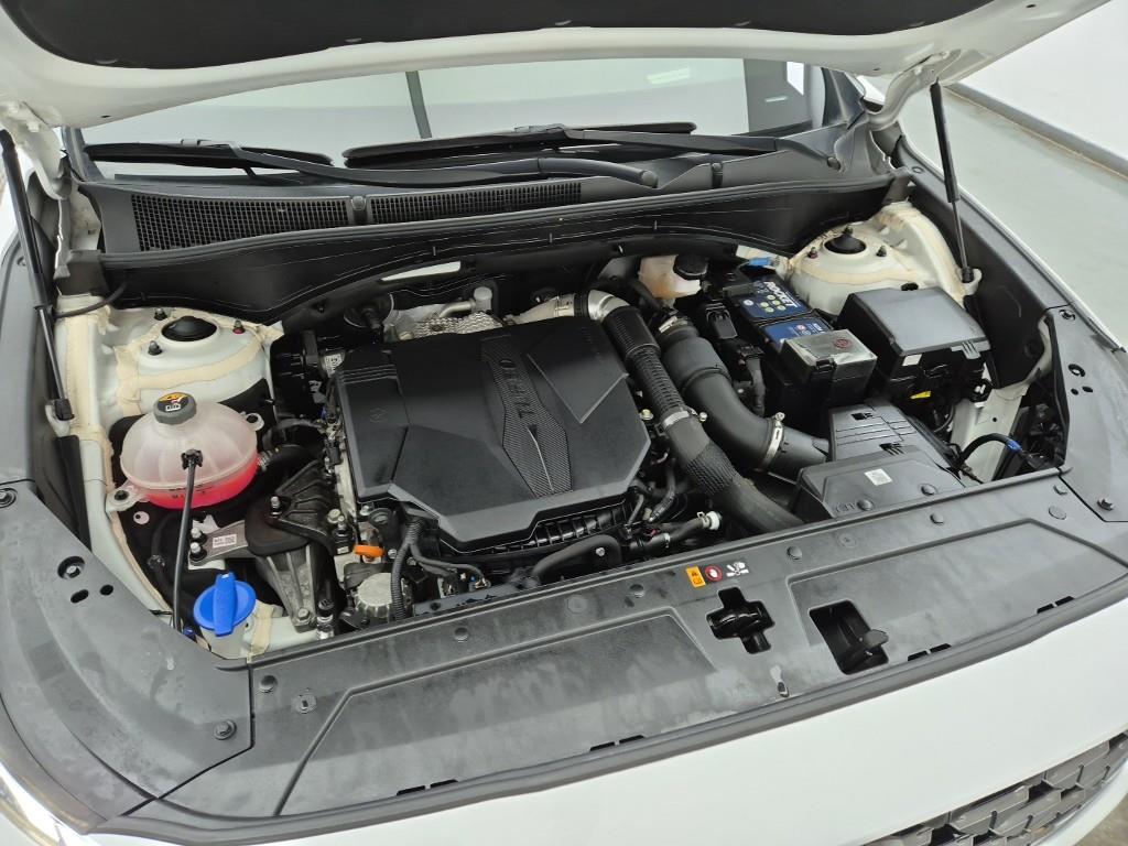 HYUNDAI Santa Fe - Vista 6