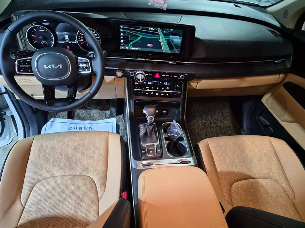 KIA Carnival - Vista 9