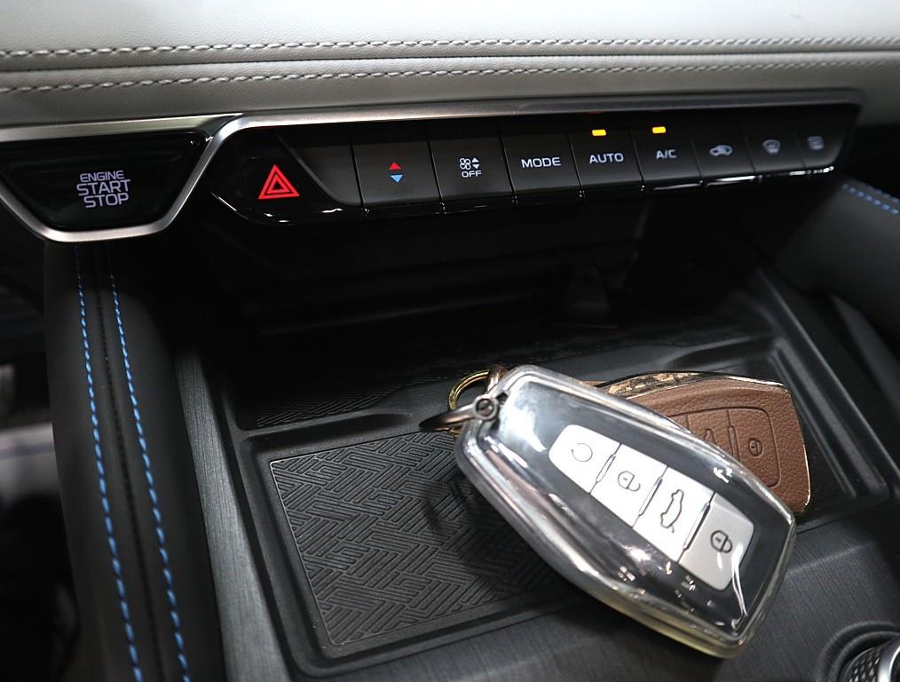 SAMSUNG Grand Koleos - Vista 12