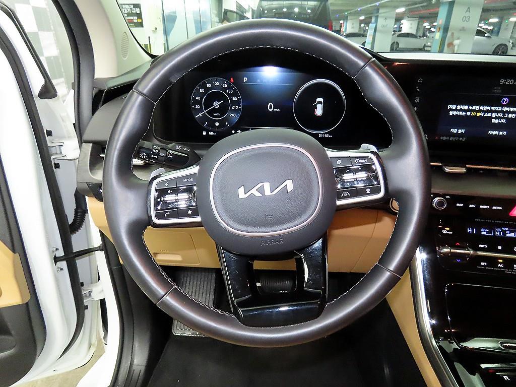 KIA Carnival - Vista 12