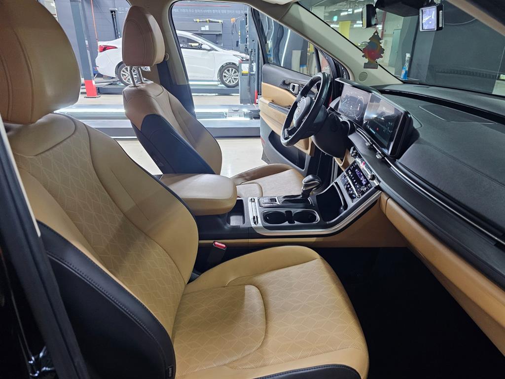 KIA Carnival - Vista 12