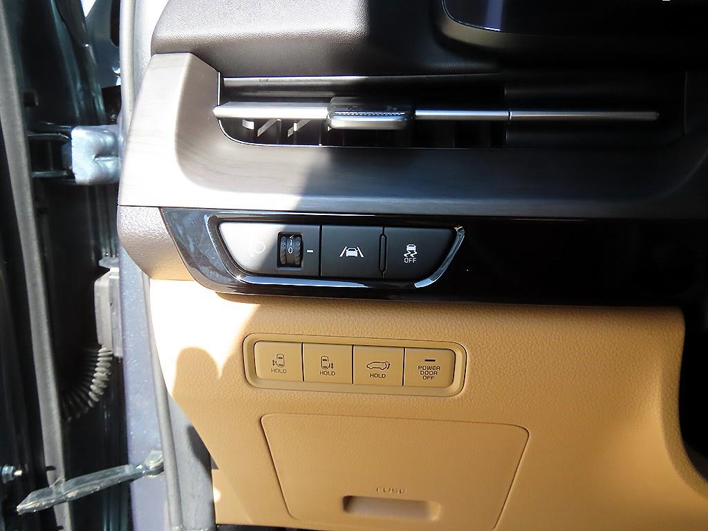 KIA Carnival - Vista 12