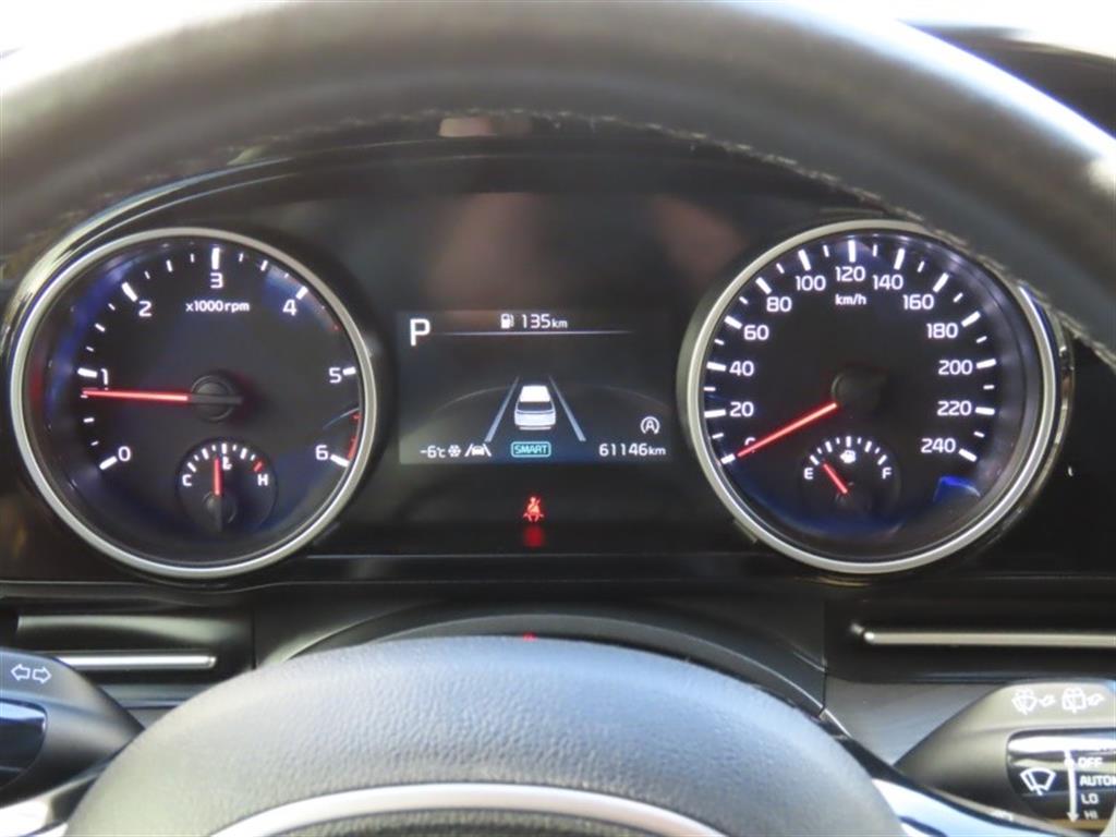 KIA Carnival - Vista 9