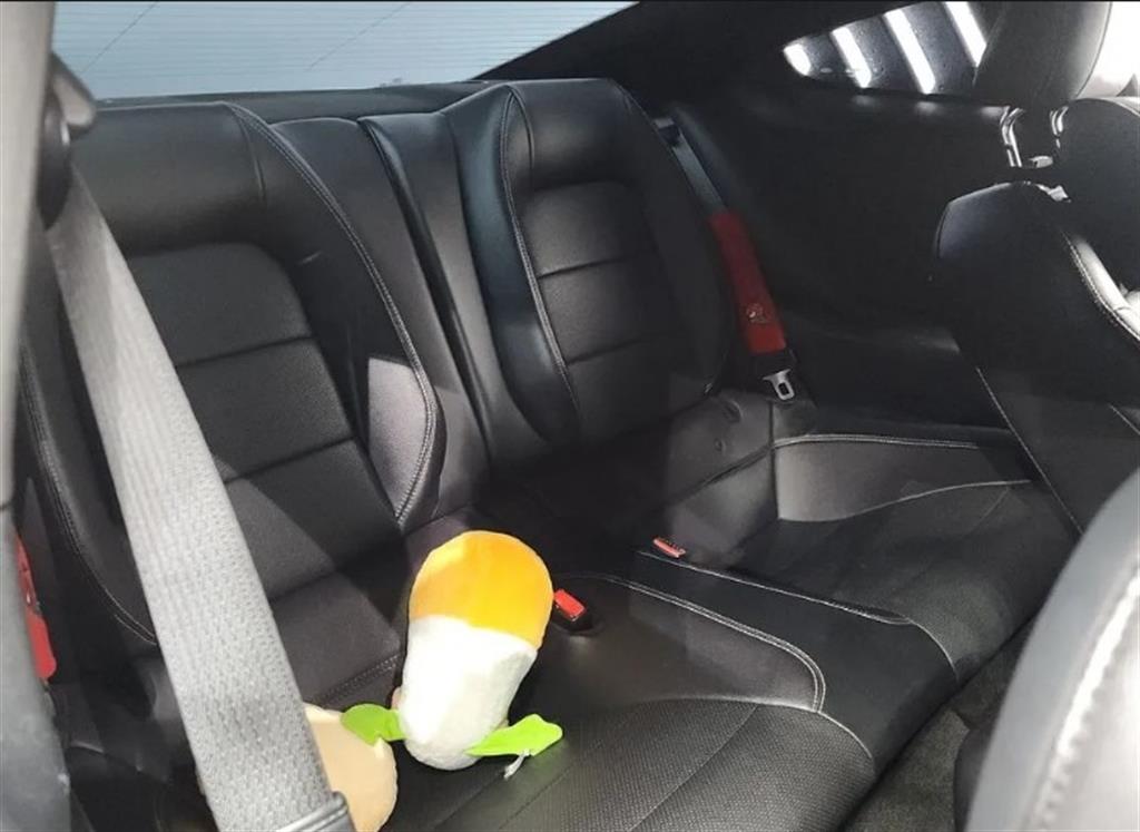 Ford Mustang - Vista 12