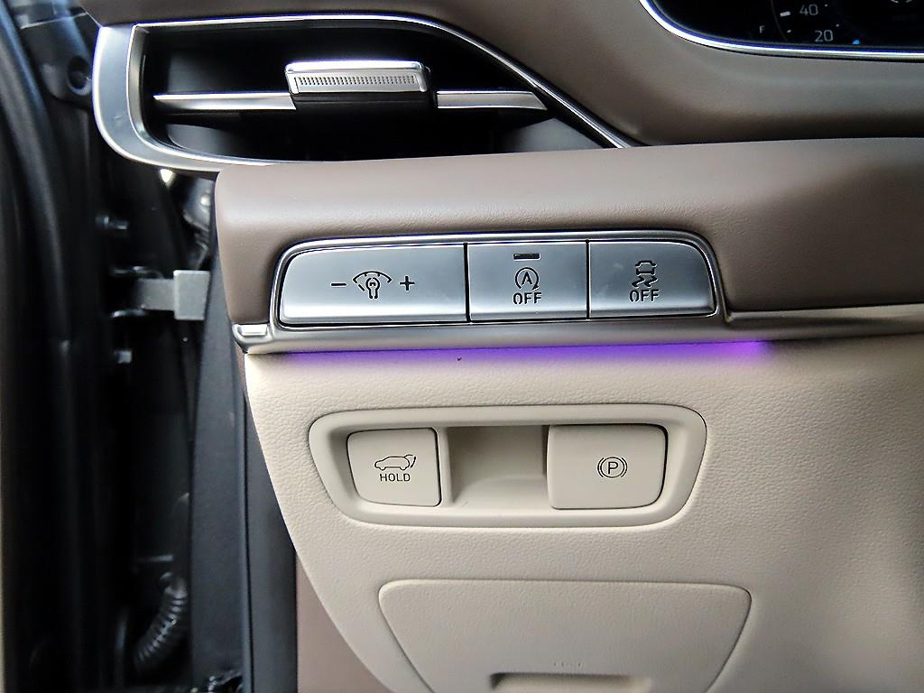 Genesis GV80 - Vista 12