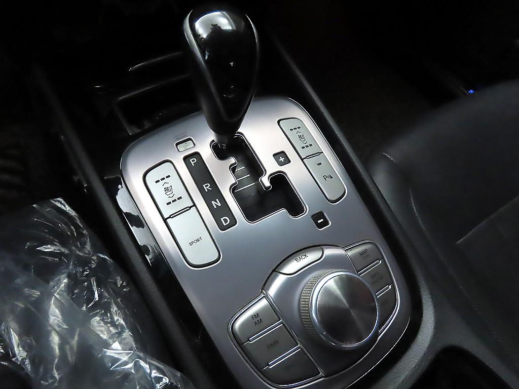 HYUNDAI Genesis - Vista 12