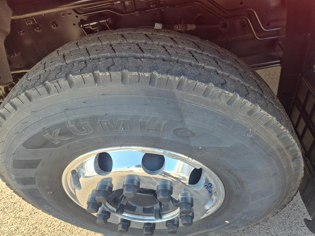 medium and large cargo Rory - Vista 12