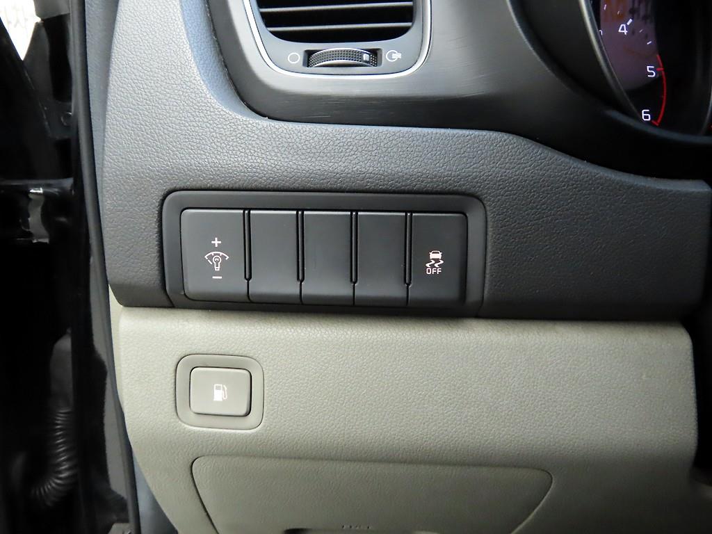 KIA Carnival - Vista 12