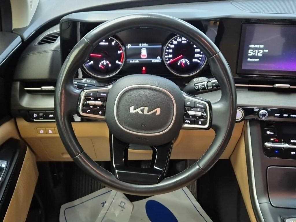 KIA Carnival - Vista 9