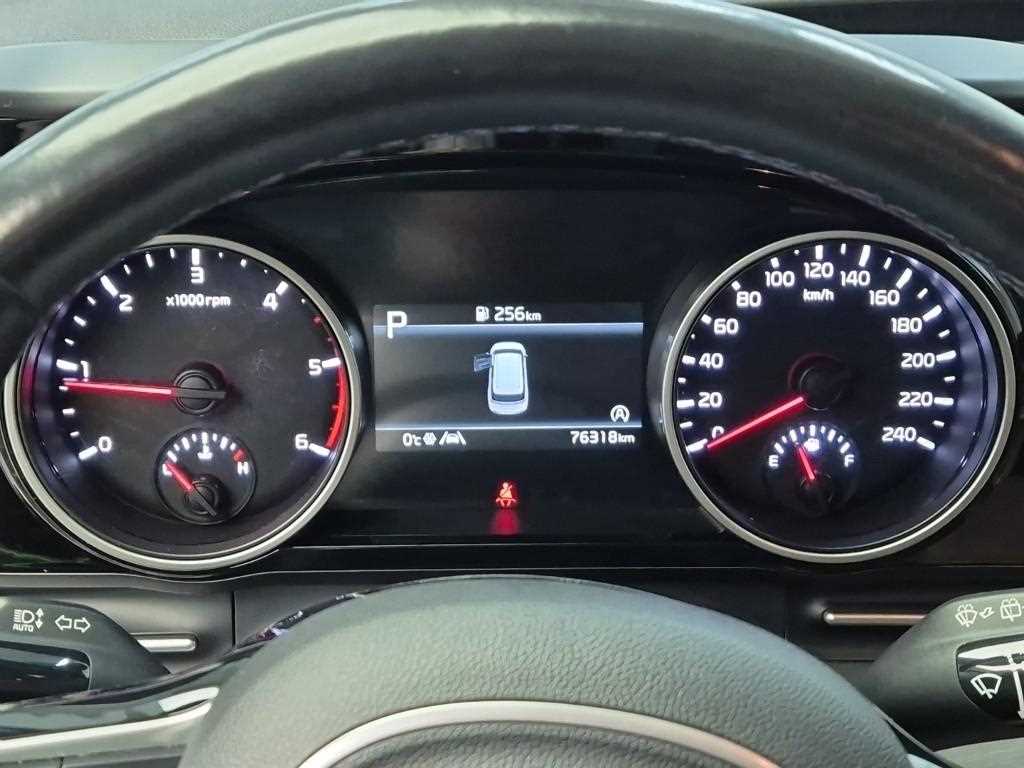 KIA Carnival - Vista 6