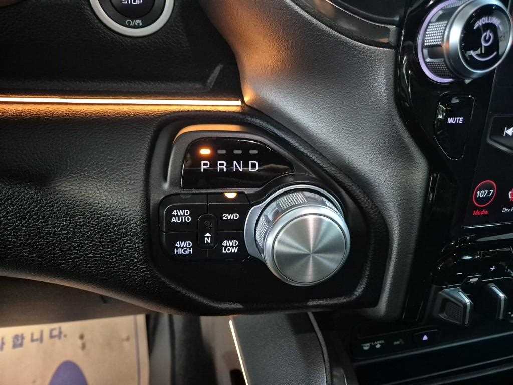 DODGE Rampic Up - Vista 8