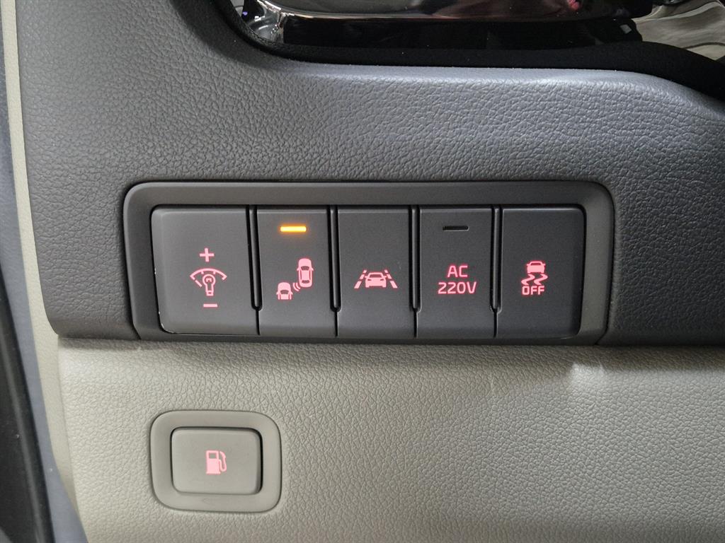 KIA Carnival - Vista 10