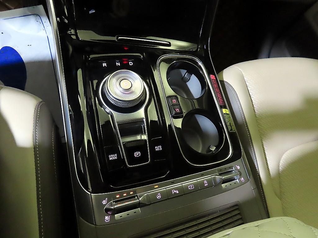 KIA Carnival - Vista 12