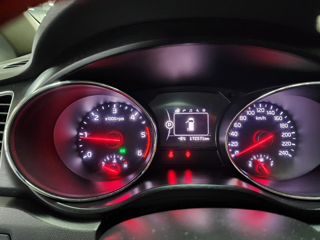 KIA Carnival - Vista 12