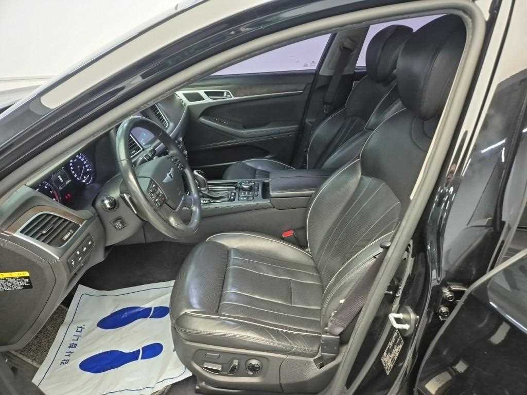 HYUNDAI Genesis - Vista 11