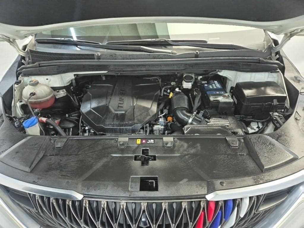 KIA Carnival - Vista 5