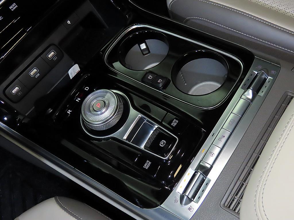 KIA Carnival - Vista 12