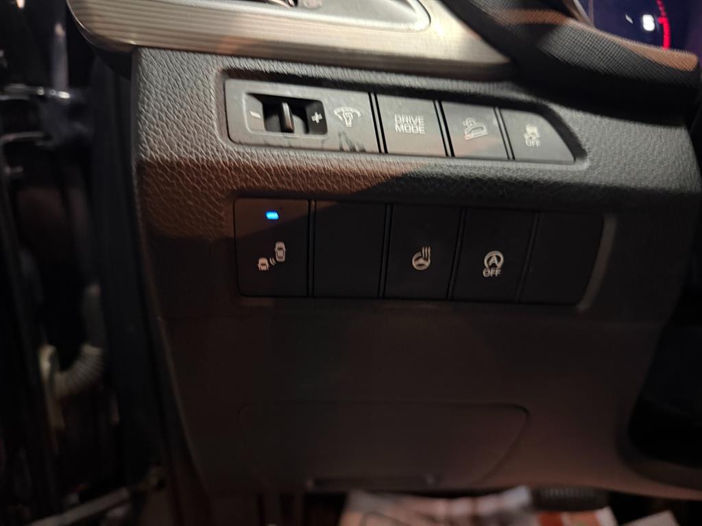 HYUNDAI Maxcruz - Vista 12