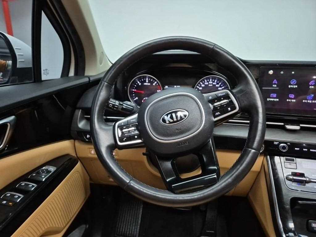 KIA Carnival - Vista 9