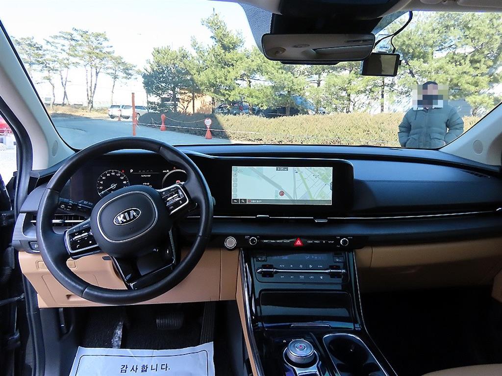 KIA Carnival - Vista 8