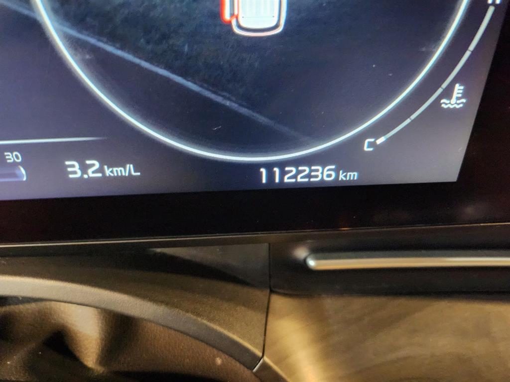 KIA Carnival - Vista 12