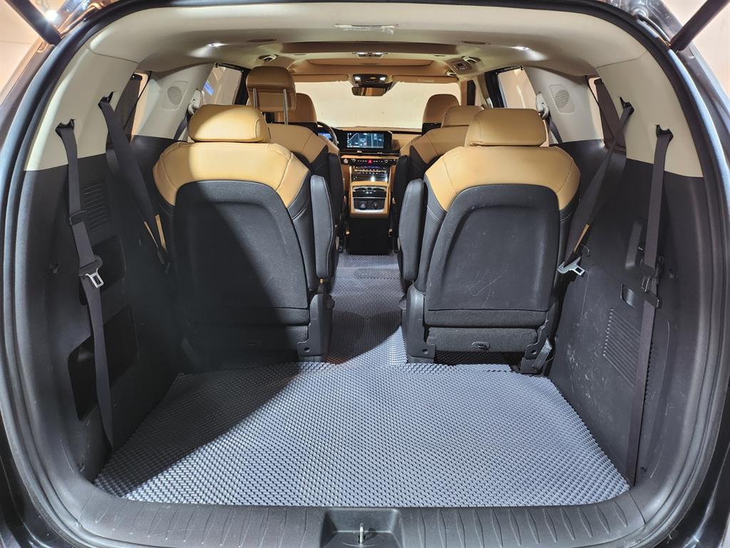 KIA Carnival - Vista 5