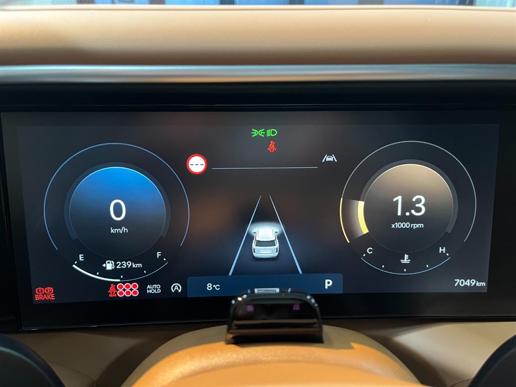 HYUNDAI Palisade - Vista 8