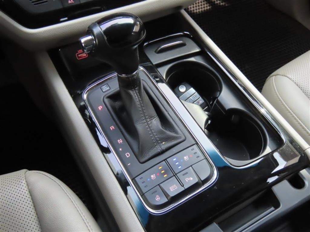 KIA Carnival - Vista 11