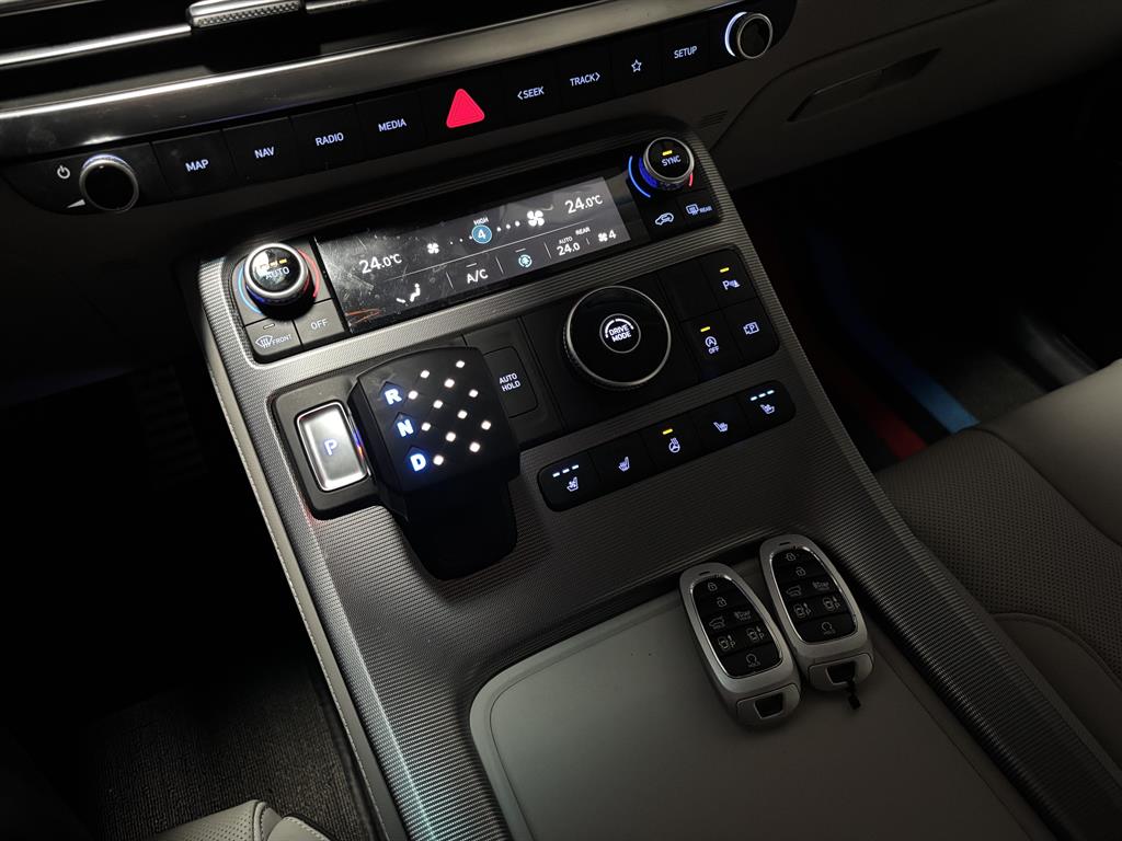 HYUNDAI Palisade - Vista 10