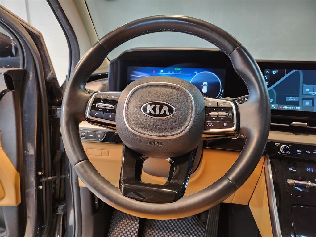 KIA Carnival - Vista 8
