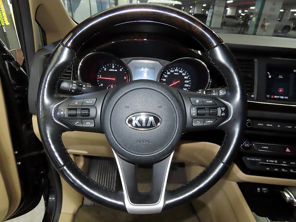 KIA Carnival - Vista 8