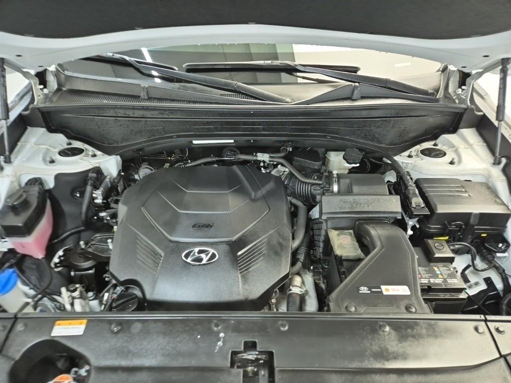 HYUNDAI Palisade - Vista 5