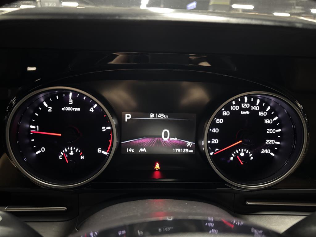 KIA Carnival - Vista 7