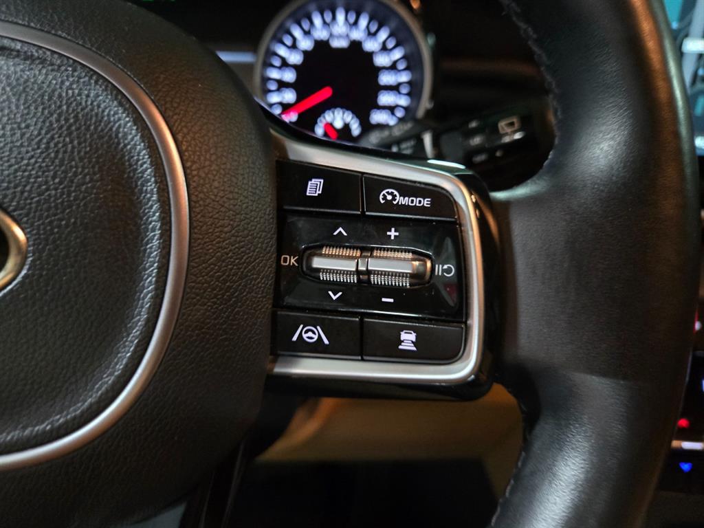 KIA Carnival - Vista 11