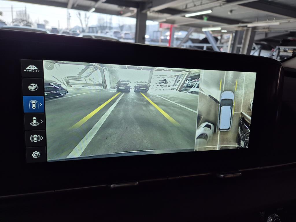 KIA Carnival - Vista 12