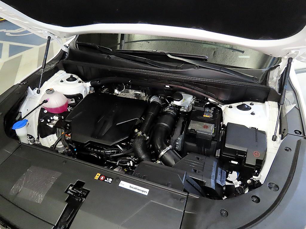 KIA Sorento 2025 Blanco - Importación desde Corea - HF Imports Iquique - Foto 19