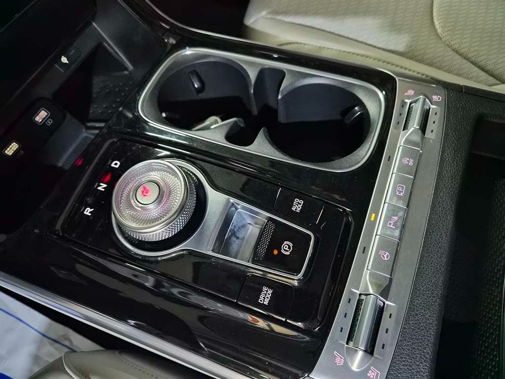 KIA Carnival - Vista 12