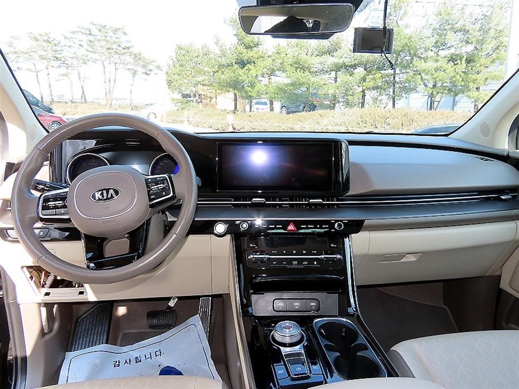 KIA Carnival - Vista 8