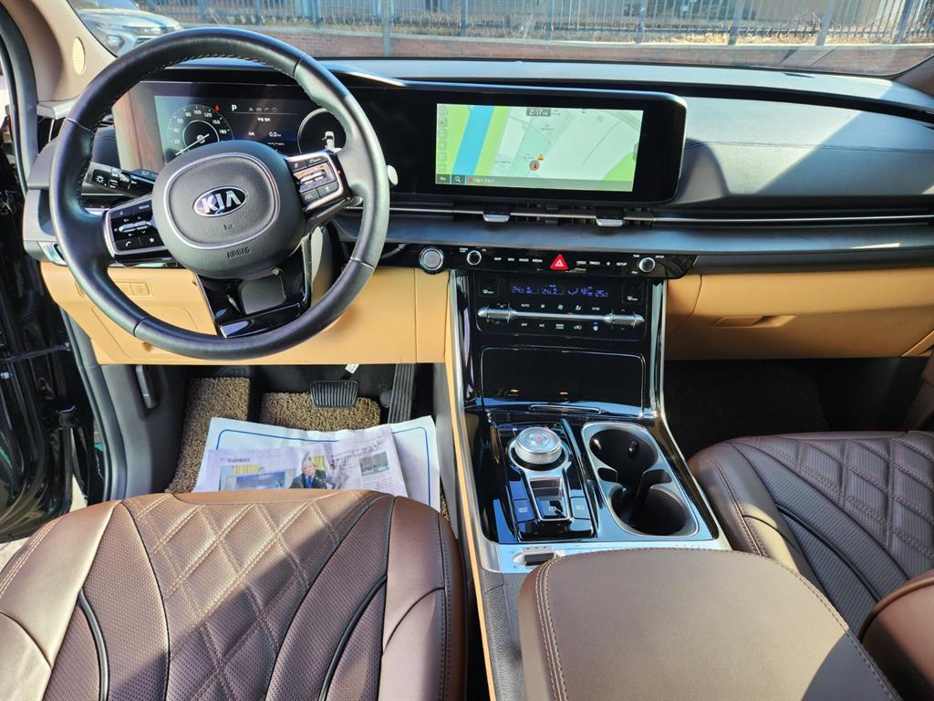 KIA Carnival - Vista 8