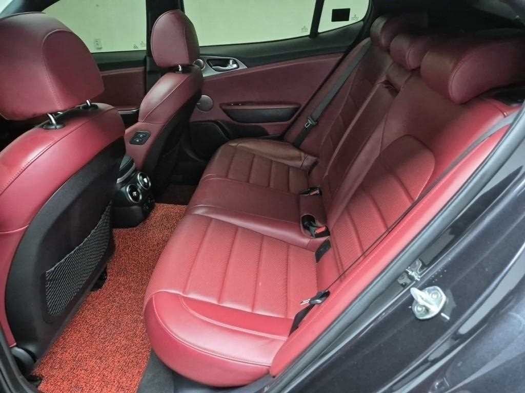 KIA Stinger - Vista 12