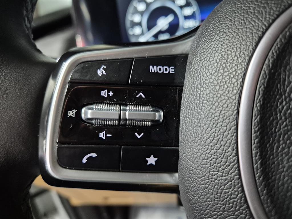 KIA Carnival - Vista 10