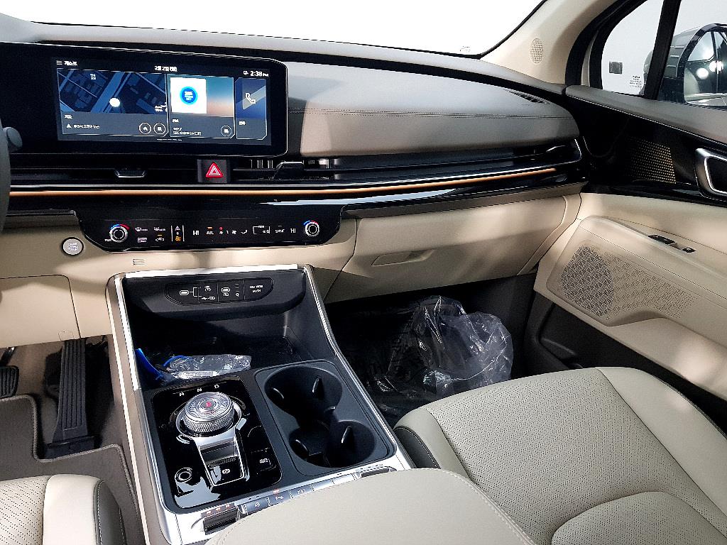 KIA Carnival - Vista 10