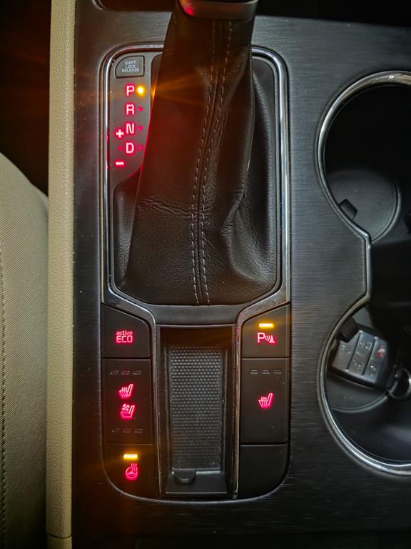 KIA Carnival - Vista 9