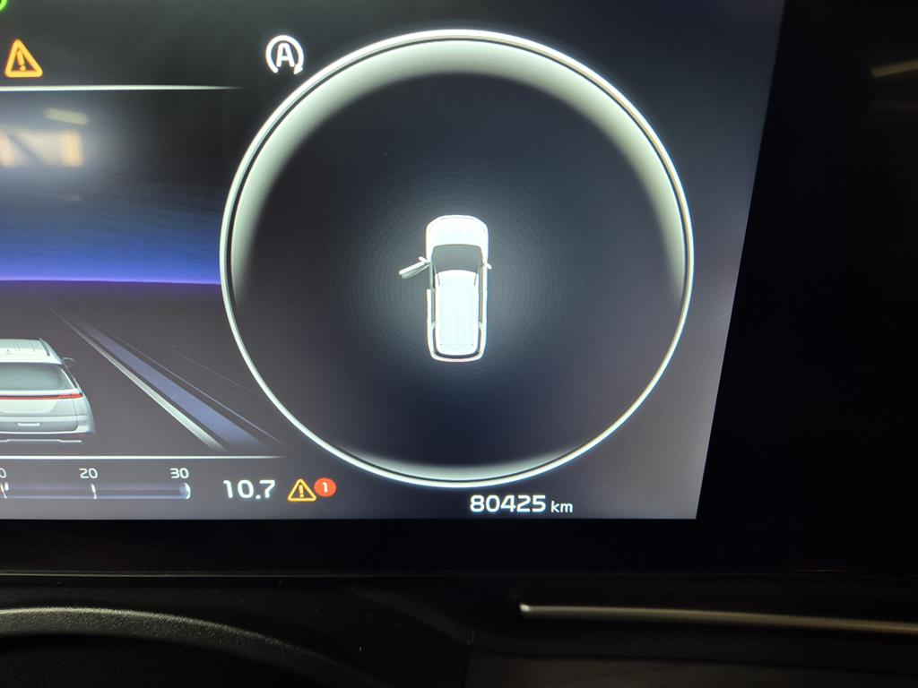 KIA Carnival - Vista 8